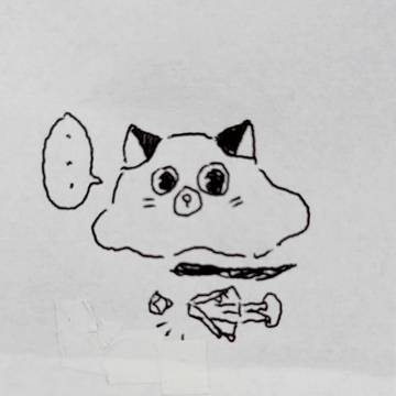 ねこたぬき