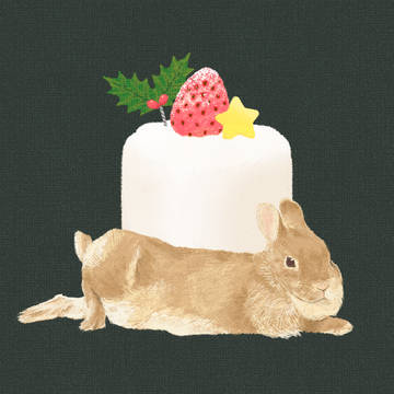 うさぎとクリスマス🎄３枚