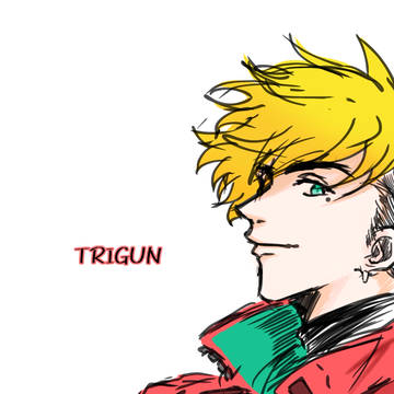 TRIGUN詰め‼️