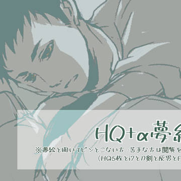 【夢絵】HQ(+αジャンル)夢Log