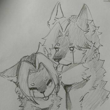 🐺💛🖤💛🐺
