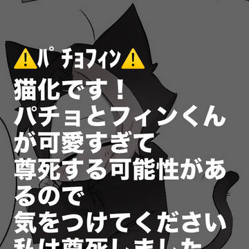 ⚠️パチョフィン⚠️ パチョ猫化あり