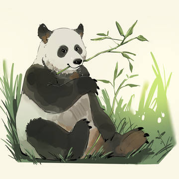 Panda
