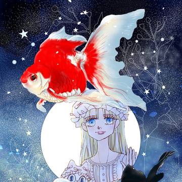 真夏の夜の金魚