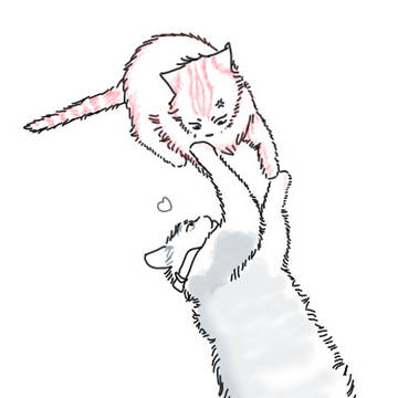 2/22の日🐈‍⬛🐈