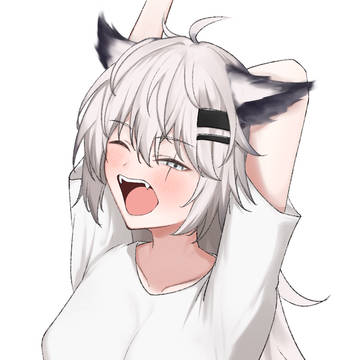 ラップランド