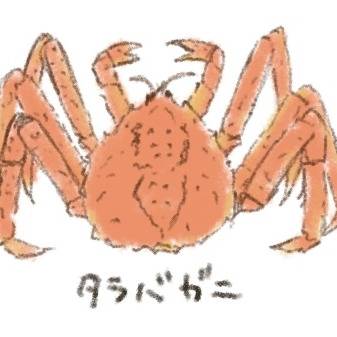 テスト投稿