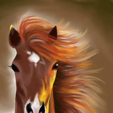 Horse
