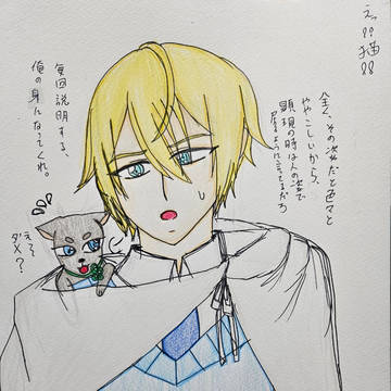 刀剣男士in猫審神者