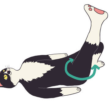 猫　足ぐるぐる