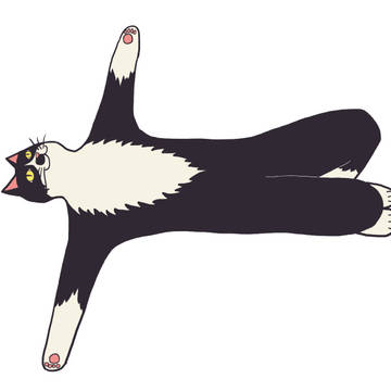 猫　足ゴロゴロ