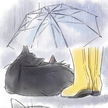 Cat toji and megumi x yuuji~~