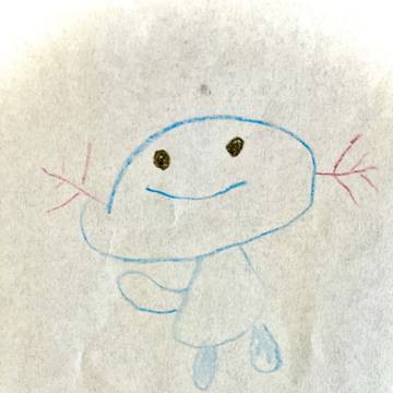 ウパー