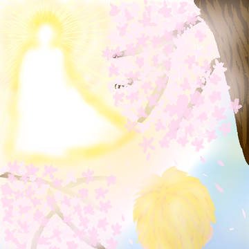 春だね〜🌸