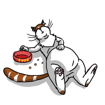 うちの猫トムトム