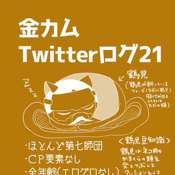 金カムツイログ21
