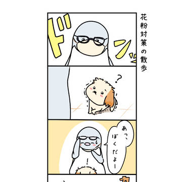 👓花粉対策の散歩🐶