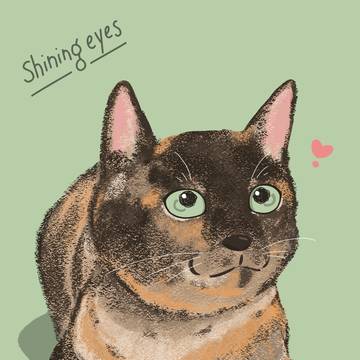 サビ猫