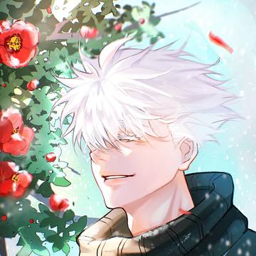 🌺🌺