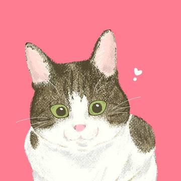 さば猫