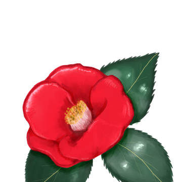 椿
