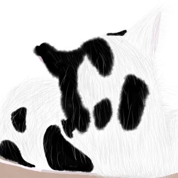 うちのねこ
