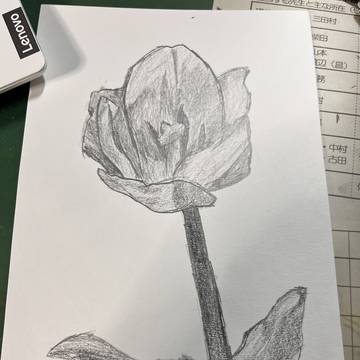 お花
