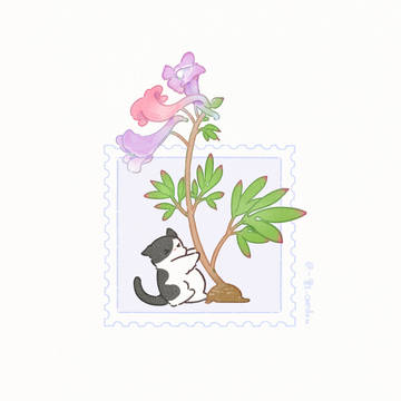 花花的世界