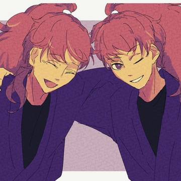 双忍