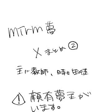 mirmまとめ②