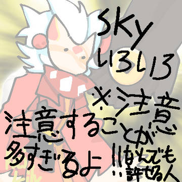 俺しか得しないSky実ログ