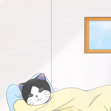 朝の陽射し