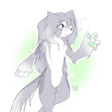 Alaska the Afghan Hound