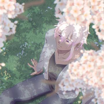 桜の花に攫われそうな
