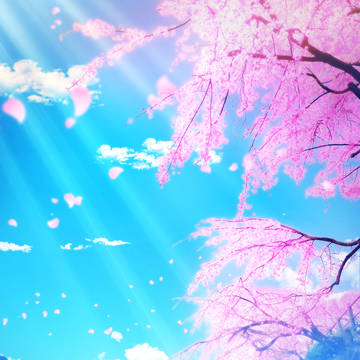 加茂の流れに