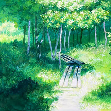 白樺