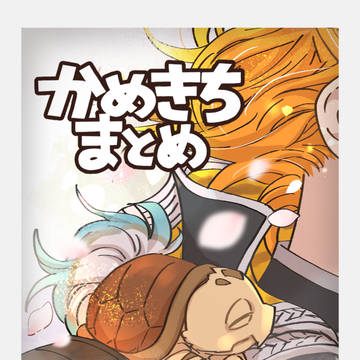かめきちまとめ