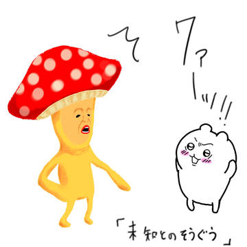 みちとのそうぐう