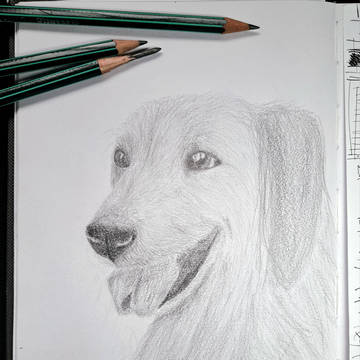 Rocco, 1