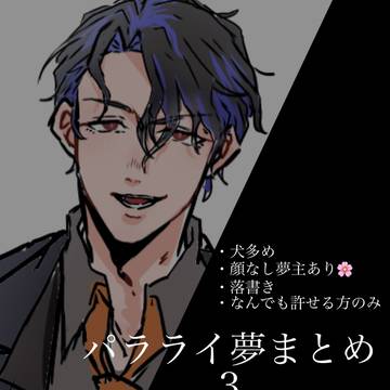 パラライ夢まとめ3