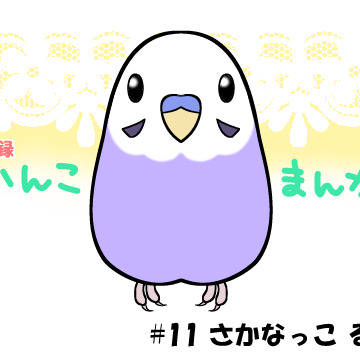 いんこまんが⑪