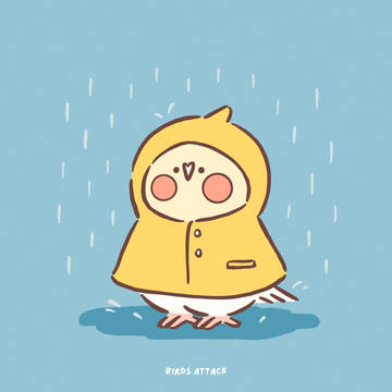 下雨了🌧️