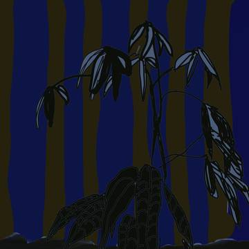 観葉植物