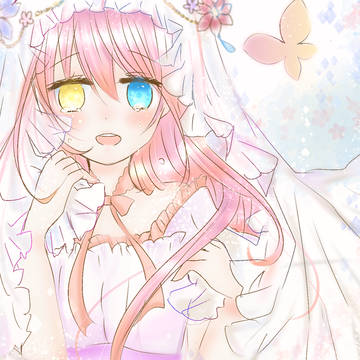 蝶々