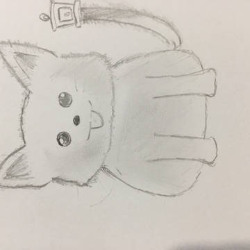 不思議な猫