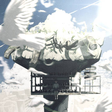 鳩