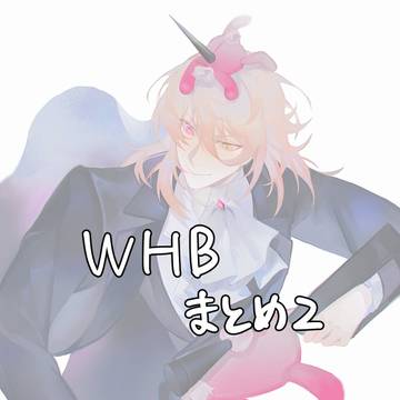 WHBまとめ2