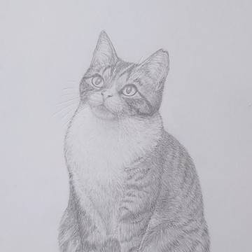 期待の眼差し