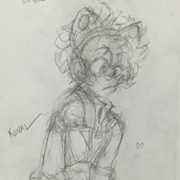 ねこヒーローデク(*´ω`*)