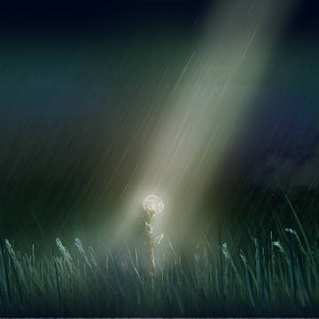 雨花